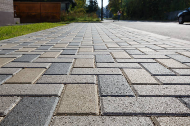 Best Local Driveway Pavers  in Citrus Springs, FL