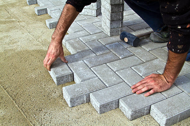 Best Driveway Paving Near Me  in Citrus Springs, FL